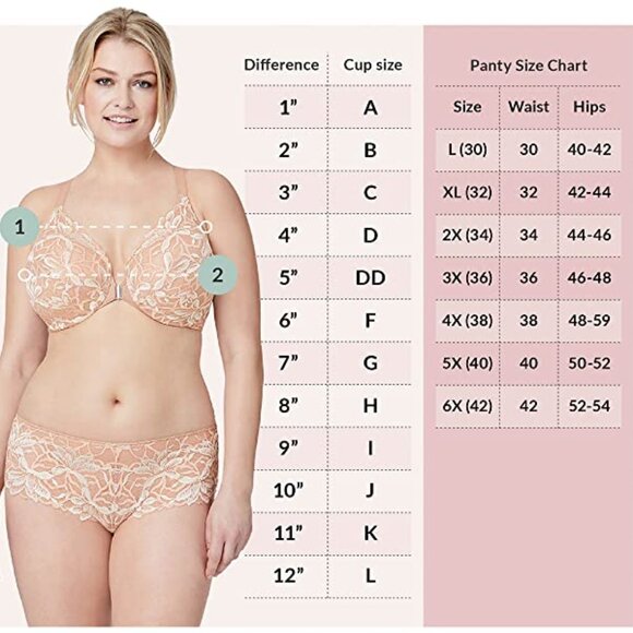 Set of 3 Colors! Panties 2XL Briefs Bramour Nolita 2XL FITS 33-34" Waist Low Cut - Picture 4 of 16